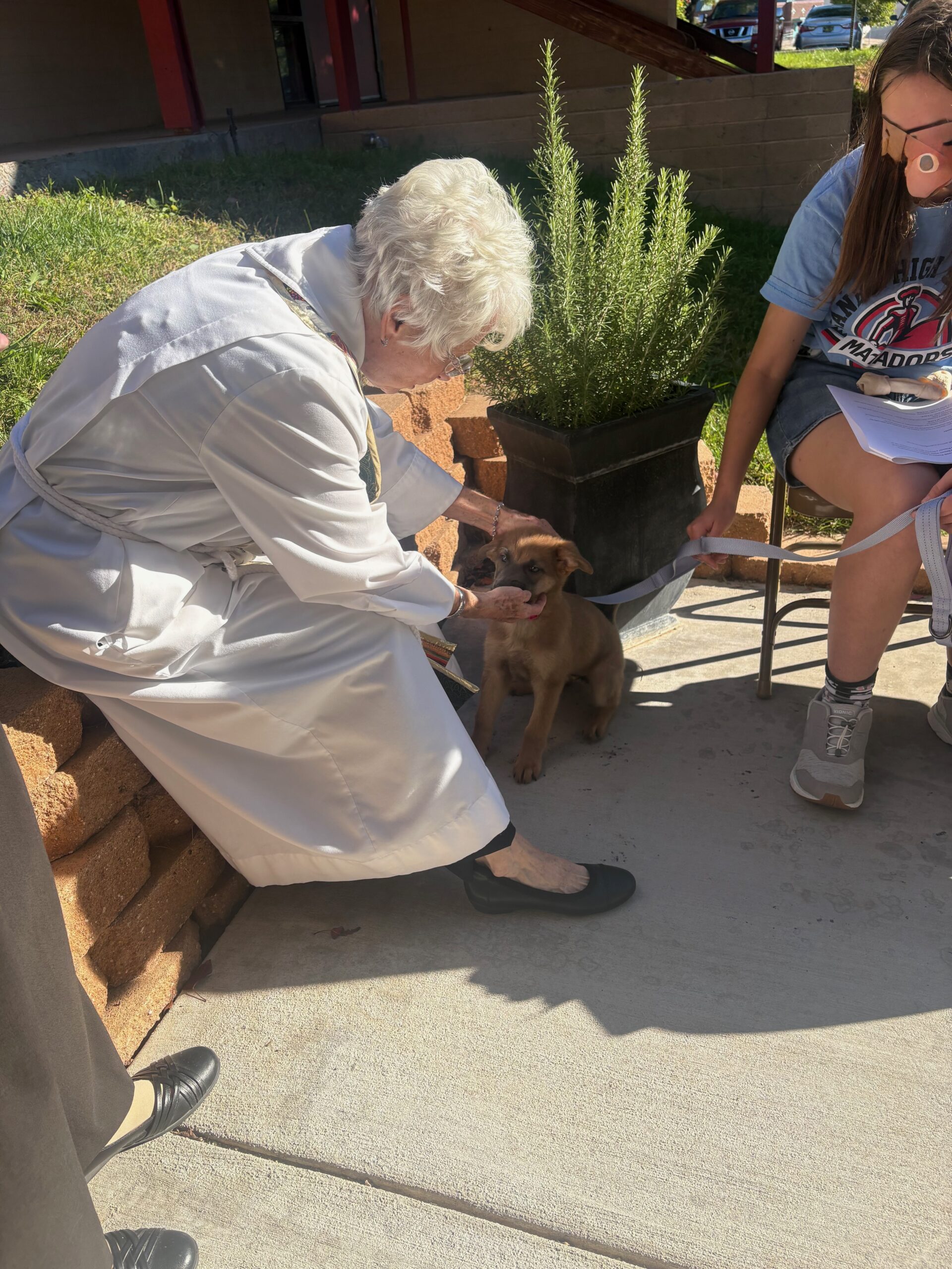 BlessingAnimals2026_7