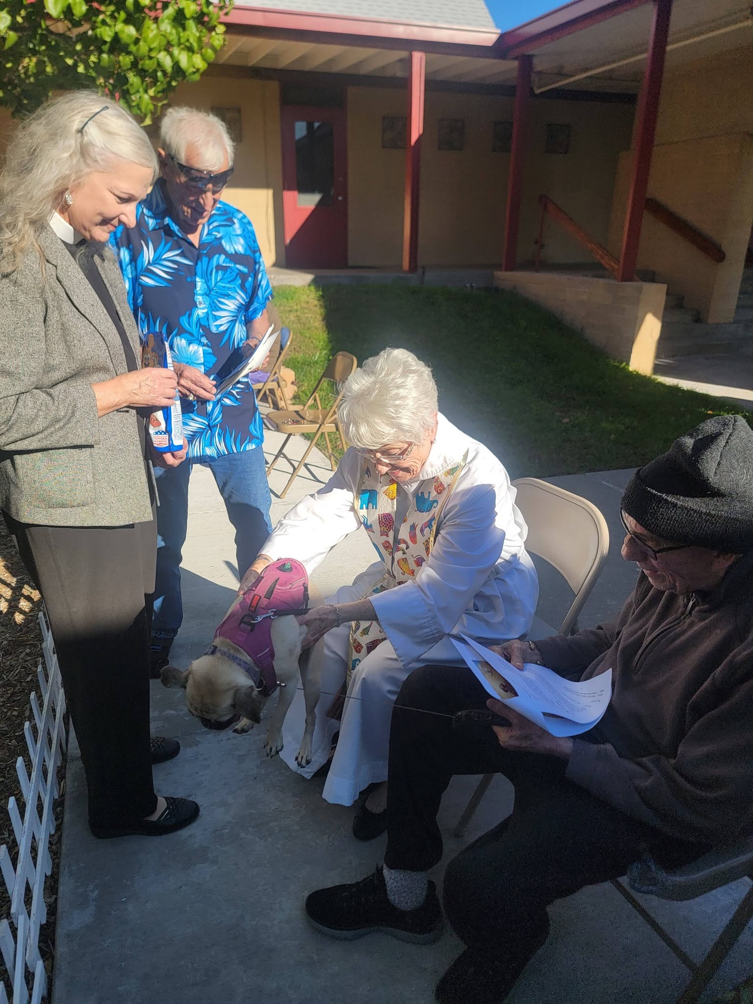 BlessingAnimals2026_8